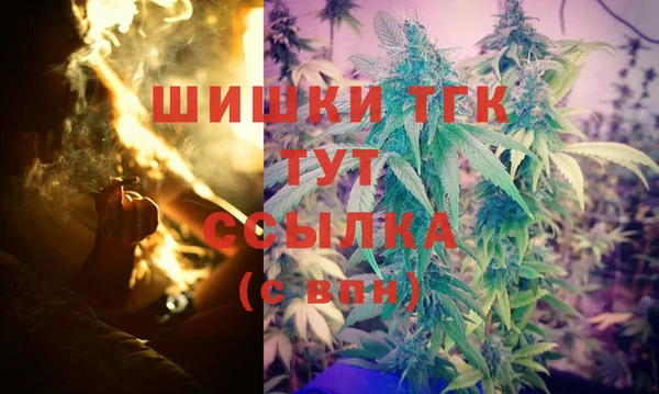гашик Балахна